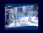 Bahlsen Winter