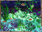 The Bamboo Aquarium