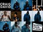 Craig David