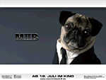 MIIB - Back in Black