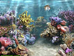 Sim Aquarium